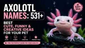 Axolotl Names: 531+ Best Cute, Funny & Creative Ideas For Your Pet